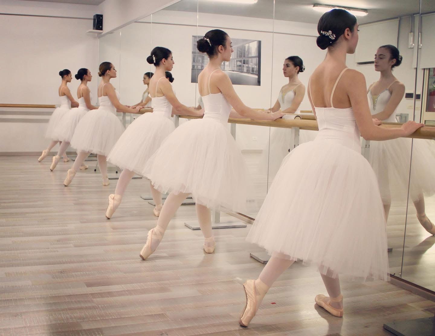Percorso Didattico Danzarte — formazione classica